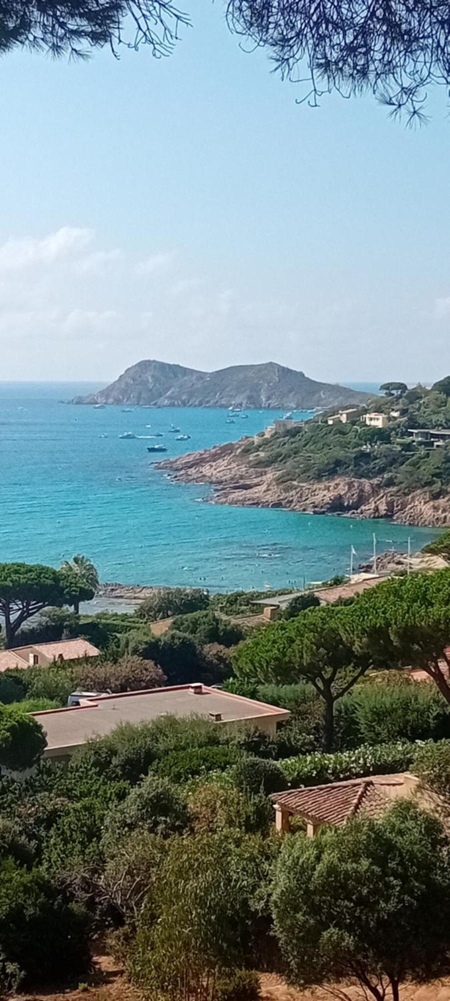Appartement T2 A La Croix Valmer Piscine Et Tennis Exteriör bild